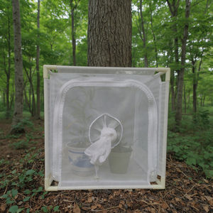 Cage d'élevage en acier solide et pliable <span class=keywords><strong>pour</strong></span> petits <span class=keywords><strong>animaux</strong></span>, habitat de papillons, <span class=keywords><strong>zoo</strong></span> <span class=keywords><strong>pour</strong></span> <span class=keywords><strong>animaux</strong></span> de compagnie, fermeture à glissière <span class=keywords><strong>pour</strong></span> insecte reptile - Product Image 4