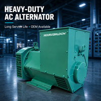 Alternateur synchrone sans balais 300 kVA 50 Hz 60 Hz avec régulateur de tension automatique