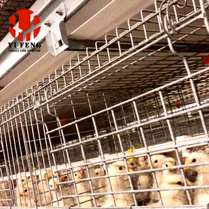 Un nouveau type <span class=keywords><strong>de</strong></span> système <span class=keywords><strong>de</strong></span> cages à poules pour poules pondeuses, un système automatique d'alimentation et <span class=keywords><strong>de</strong></span> nettoyage multi-niveaux qui permet <span class=keywords><strong>de</strong></span> gagner <span class=keywords><strong>de</strong></span> l'espace - Product Image 6