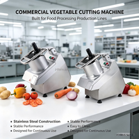 VC65MS Coupe-légumes électrique multifonctionnel, trancheuse, robot culinaire commercial pour fruits et fromages, avec 5 disques