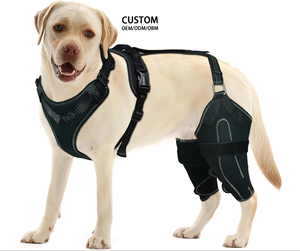 फटे एसीएल पैर के लिए घुटने के घुटने का ब्रेस बैक पैर गर्म संयुक्त के लिए घुटने के ब्रेस - Product Image 1