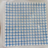 Grille de biopsie radiopaque pour imagerie CT, marqueurs d'imagerie radiopâques, grille adhésive, localisateur