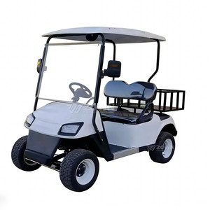 Carritos de golf eléctricos populares para 2 pasajeros, con batería de litio de 48V, tipo Club Car, para recepción de hotel, con posibilidad de personalizar el color. - Product Image 6
