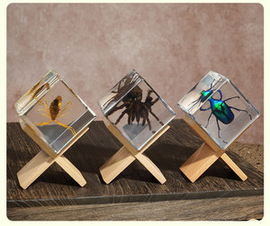Cubo di Resina con Scorpione Dorato Vero, Insetto Conservato per Uso Educativo e Decorativo e Regalo per Amici - Product Image 5