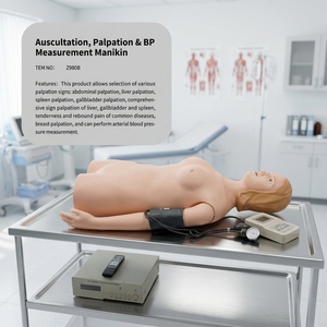 Maniquí Simulador Multifuncional para Auscultación, Palpación y Medición de Presión Arterial, para Enfermería, Ciencias Médicas - Product Image 1