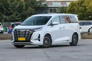 דנזה דנין תשע Byd יוקרה MPV רכב חשמלי ברמה גבוהה טנגשי D-nine רכב אנרגיה חדש היברידי נטען