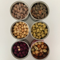 Hochwertige beschichtete Erdnuss nüsse nach japanischer Art Eigene Verpackung Knusprige chinesische Snacks Geröstete gesalzene getrocknete Erdnüsse