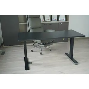 China Factory Promotion Office Furniture Max Load 120kg High Power Dual Motor Adjustable Stands Electronic Desk