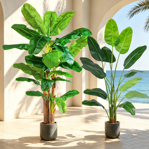 Arbre <span class=keywords><strong>bananier</strong></span> artificiel : Plante tropicale en soie de 1,80 m avec feuilles de <span class=keywords><strong>Musa</strong></span>, pour <span class=keywords><strong>intérieur</strong></span> et extérieur, <span class=keywords><strong>d</strong></span>écoration de hôtel, bureau, patio, vente en gros - Product Image 6