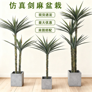 Plante artificielle en sisal Dream Castle, 100 cm-200 cm, décoration de sol intérieure, verdure en pot - Product Image 1