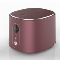 Minuterie numérique automatique 3L Contrôle IH Chauffage électromagnétique Cuiseur à riz Cuisson rapide Conception portable Caractéristiques écologiques