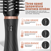 Styler capillaire électrique 6-en-1 OEM direct usine, brosse sèche-cheveux ionique à air chaud, peigne auto-enroulant