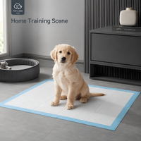 Tapis d'entraînement pour chiens et chiots, résistants, écologiques, directement de l'usine, avec noyau en pulpe de cellulose SAP, absorption rapide, revêtement imperméable IPX7
