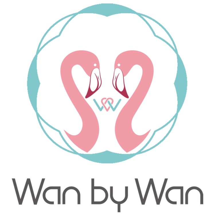 Guizhou Wanjiang Jewelry Co., Ltd.