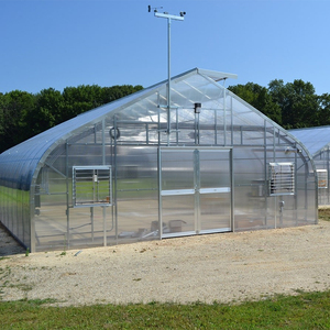 Serres <span class=keywords><strong>tunnel</strong></span> solaires à simple portée de 8x30m, d'<span class=keywords><strong>occasion</strong></span>, pour tomates, avec systèmes d'irrigation et film plastique pour jardin - Product Image 1