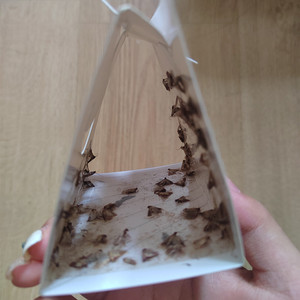 Moth Trap Sticky Paper Gel Disposable Lightweight <strong>Small</strong> <strong>Insect</strong> for Home Use MYQ-C-003 - Product Image 4