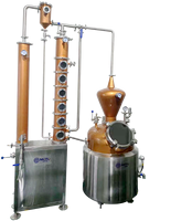 Équipement de distillation pour distillerie artisanale Alambics en cuivre de 50L-300L pour la distillation de gin, de vodka, de whisky pour la transformation de l'alcool