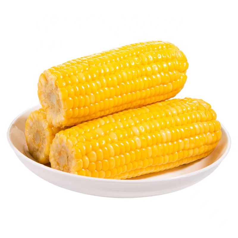 Cob jagung manis siap untuk makan jagung kuning Cob dikemas vakum tanpa GMO jagung manis lilin jagung segar