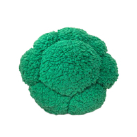 Jouets en peluche personnalisés de haute qualité, brocoli et légumes/fruits, fabriqués en usine, rembourrés de coton PP