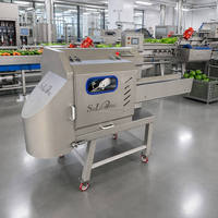 Máquina Cortadora Automática de Vegetales con Cinta Transportadora para Frutas, Ensaladas, Verduras de Hoja, Repollo y Procesamiento de Alimentos