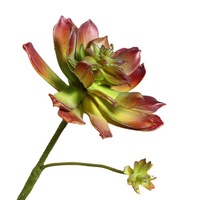 Tiges de succulentes artificielles réalistes Echeveria, fausses tiges de lotus en pierre 22 cm pour la décoration de vases, tables, maisons, bureaux et postes de travail
