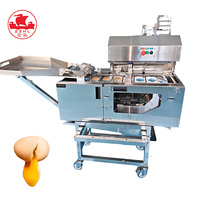 Ligne de production d'œufs liquides pour la fabrication de poudre d'œufs de petite taille, machine de pasteurisation, briseur d'œufs, séparateur de jaune d'œuf