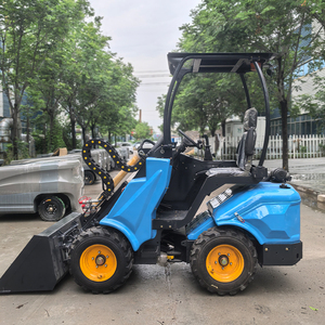 Hot bán TS800 khớp nối kết thúc trước Kính thiên văn Bánh Xe Tải 800kg cánh tay dài nhỏ loader - Product Image 2