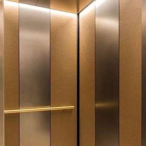 Ascensor Residencial de Diseño Moderno para Casa o Villa, de 800kg/1000kg, sin Engranajes, con Tracción, Elevador de Pasajeros, Elevador de Plataforma para el Hogar - Product Image 4