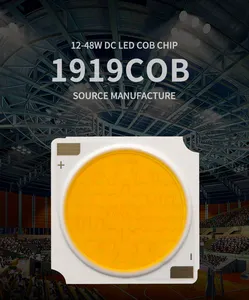 Stocked 36V 900mA COB LED Chip 130LM 140LM Ra80 4000K High Lumen LED COB Chip With Bridgelux Chip