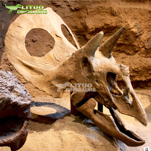 Khủng long công viên cuộc sống Kích thước Triceratops Mô Hình Bộ Xương - Product Image 6