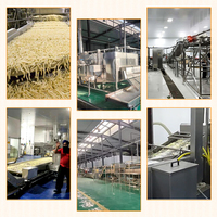 Línea de Producción Automática de Papas Fritas Frescas y Congeladas TCA 100kg/h 200kg/h 300kg/h 500kg/h 1000kg/h