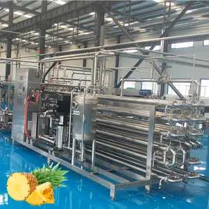 Extractor Industrial de frutas, máquina extractora de zumo de piña, plantas