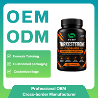 Capsules de Turkesterone Avancées 500mg Extrait d'Ajuga Turkestanica Nutrition Sportive Fournisseur de Capsules de Turkesterone
