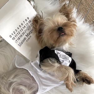 Onestep Fabrikant Groothandel Custom Zomer Teddy Bichon Schnauzer Huisdier Kleding Ademend Katoen Effen Korte Mouwen Gratis - Product Image 2