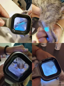 Thú Y gỗ của đèn-365nm UV ánh sáng cho vật nuôi nấm ngoài da & phát hiện nhiễm nấm trong Chó & Mèo - Product Image 6