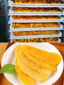 Deshidratador industrial de frutas y verduras con secador de bandeja de circulación de aire caliente para secado de alimentos de pimienta negra de <span class=keywords><strong>cacao</strong></span> - Product Image 5