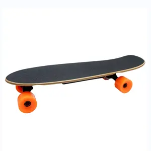 EU Warehouse New longboard Popular skateboard Customized electric skateboard