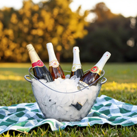 Refroidisseur de bière et de vin en plastique transparent rétro bouteille de boisson seau à glace extérieur et intérieur bacs à boissons pour bars OEM Factory Direct
