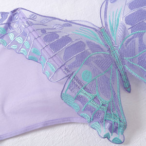 Ensemble 2 pièces de lingerie romantique grande taille pour femme : soutien-gorge et culotte en maille transparente avec broderie papillon, sans bretelles - Product Image 6
