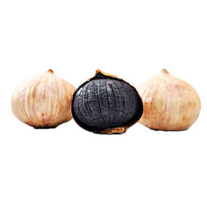 Fabricant chinois de capsules molles d'<span class=keywords><strong>ail</strong></span> <span class=keywords><strong>noir</strong></span> fermenté de haute qualité pour adultes - Service OEM et marque privée de qualité alimentaire - Product Image 6