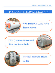 Chaudière à eau chaude automatique à granulés de bois biomasse à économie d'énergie pour le chauffage domestique, hôtelier et de villas, basse pression pour usage industriel - Product Image 6