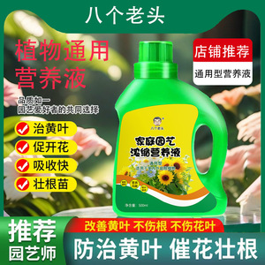 Solution nutritive concentrée pour plantes, engrais liquide de 500ml pour plantes d'intérieur, succulentes, amélioration de la croissance des arbres porte-bonheur - Product Image 4
