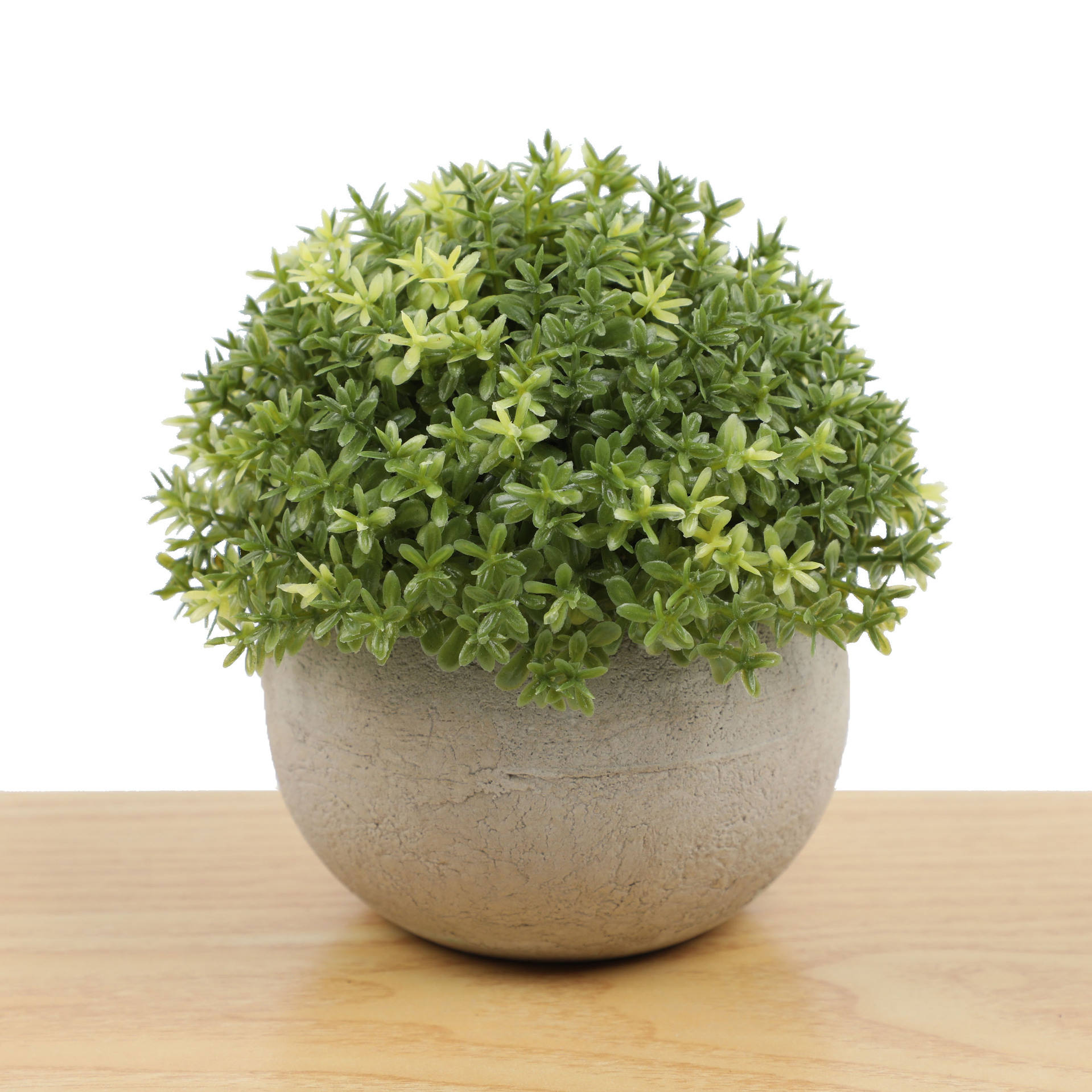 285 baby tears-green yellow