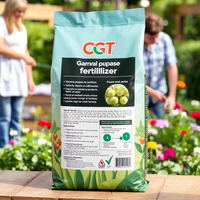 Personnalisé 10KG 20KG 50KG recyclable laminé PE PP Kraft papier plastique jardinage engrais robuste sac d'emballage sac