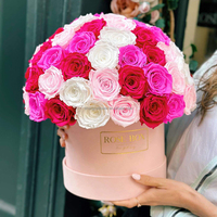 Fleur éternelle en gros : Rose éternelle en forme de champignon, 24 explosions, en pot, finition parfaite