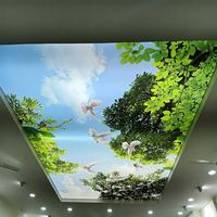 Pangui Matériaux de construction gratuits Tissu Plafond tendu Prix Échantillons Film décoratif PVC Film de plafond tendu imprimé UV MSD