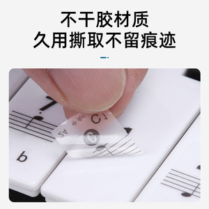 Autocollant pour touches de piano, 88, 61, 54 touches, aide à l'apprentissage de la notation musicale pour les débutants - Product Image 4