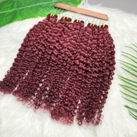 Lots de Cheveux Brésiliens Vierges Rouge 99J Bouclés Profonds de Luxe, Cheveux Bruts Doublement Tirés avec Cuticules Alignées, Fournisseurs de Cheveux Vierges