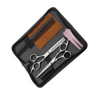 Kit de coupe de cheveux personnalisé en acier inoxydable argenté Ensemble de rasoir pour coiffeur ciseaux amincissants pour salon de beauté et de coiffure
