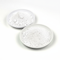 Poudre de talc de qualité alimentaire et médicale, haute pureté, faible humidité, pour excipients de comprimés et additifs alimentaires